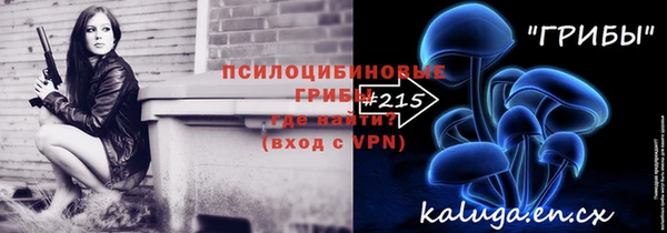 PSILOCYBIN Новозыбков