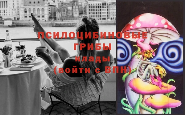 PSILOCYBIN Новозыбков