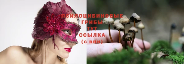 гидропоника Новодвинск