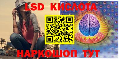 эйфоретик Берёзовский