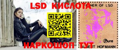 эйфоретик Берёзовский