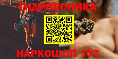 apvp Волжский