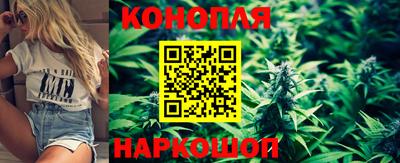 эйфоретик Берёзовский
