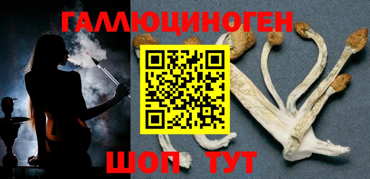 Галлюциногенные грибы ЛСД  Зеленодольск  Галлюциногенные грибы прущие грибы 